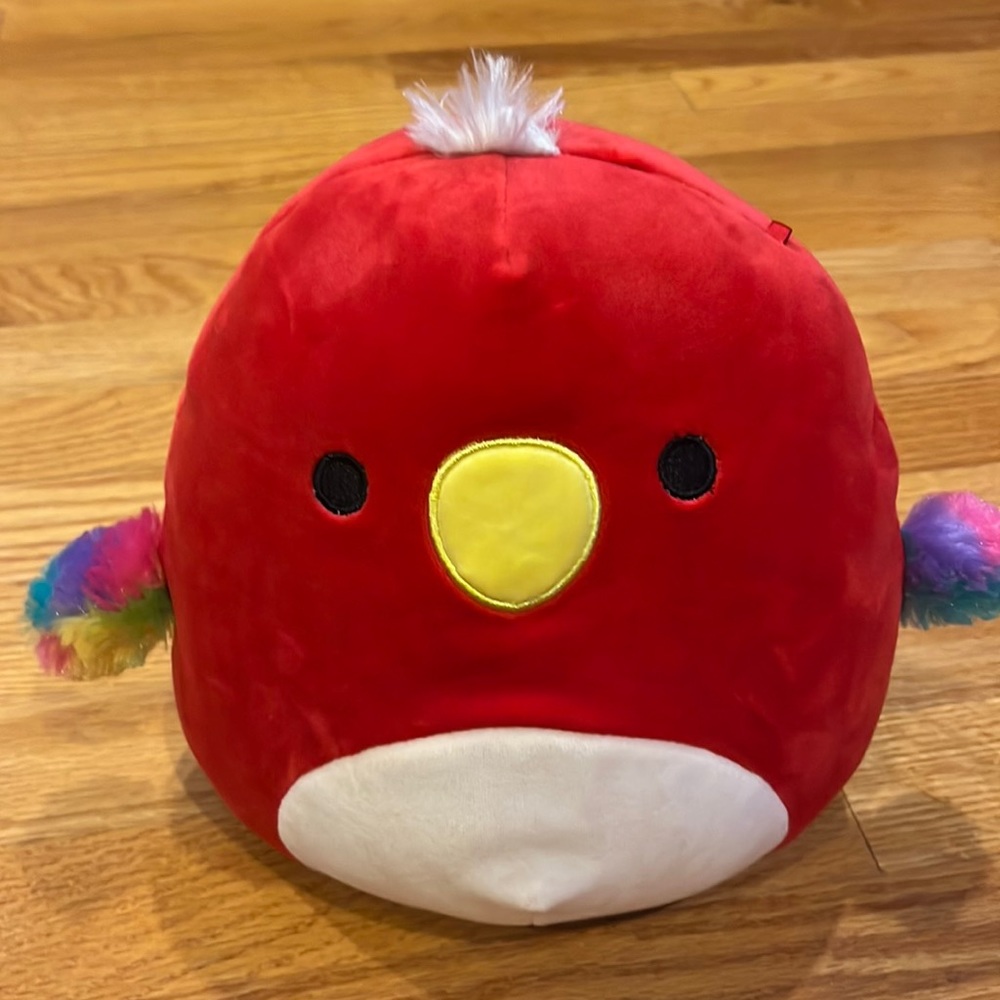 “SOLD”not for sale—-Paco Red parrot